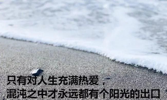 2025最火扎心文案伤感励志正能量