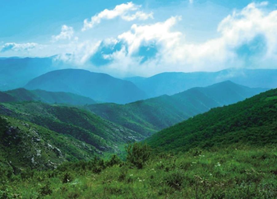 唐伯虎最经典的五首诗词（唐伯虎的作品对后世的影响）