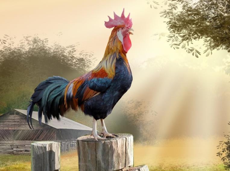 唐伯虎最经典的五首诗词（唐伯虎的作品对后世的影响）