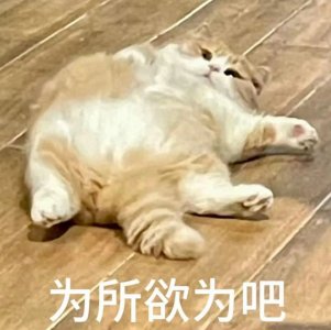 ​表情包丨为所欲为吧