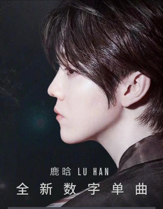 鹿晗顶流时代（鹿晗在顶流时期宣布恋情）(15)