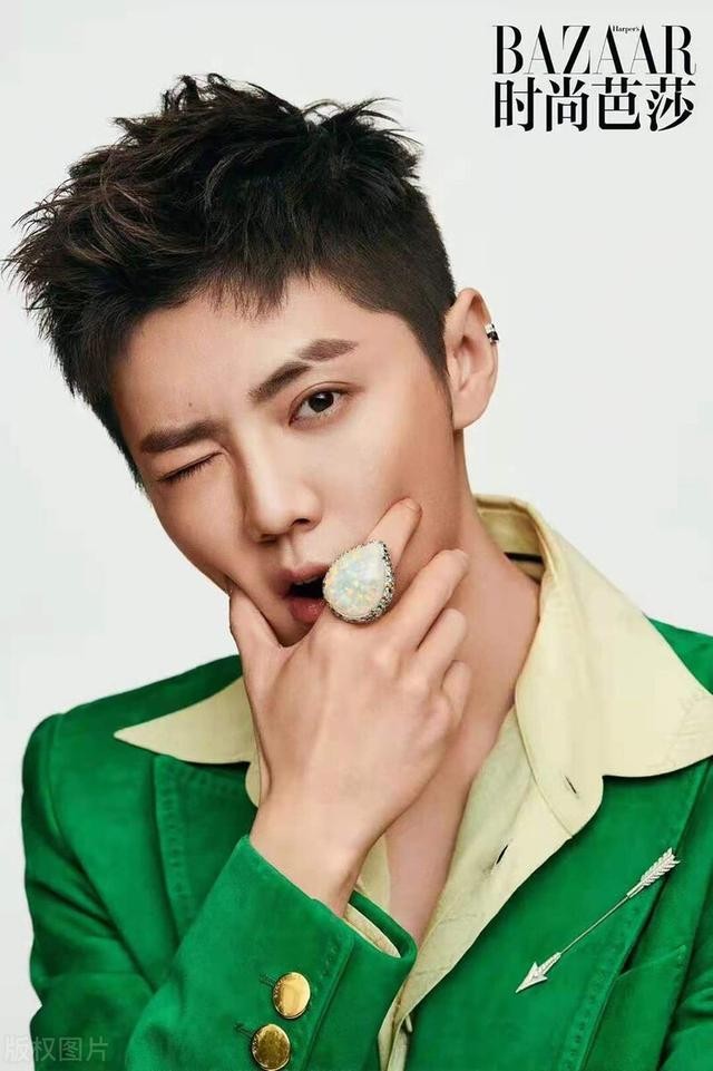 鹿晗顶流时代（鹿晗在顶流时期宣布恋情）(9)