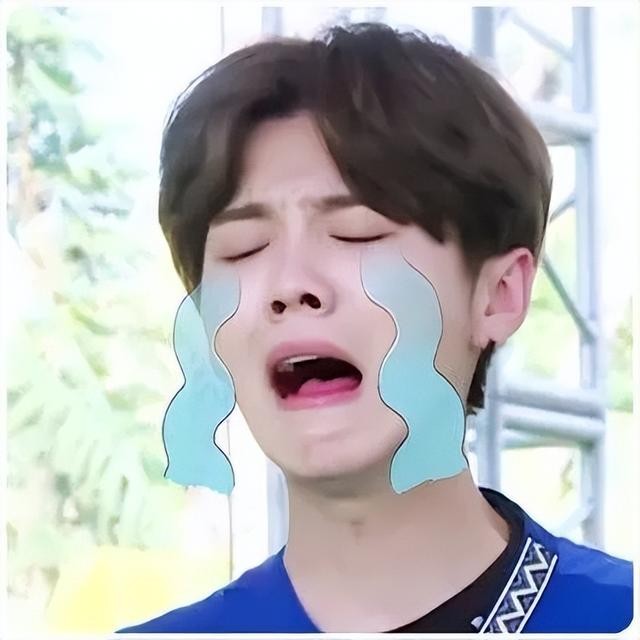 鹿晗顶流时代（鹿晗在顶流时期宣布恋情）(12)