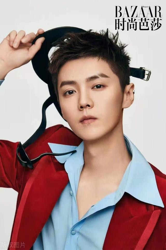 鹿晗顶流时代（鹿晗在顶流时期宣布恋情）(7)