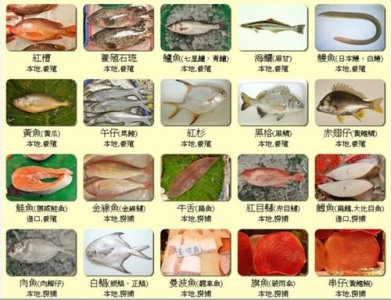 ​海鲜的种类（海鲜的种类介绍）