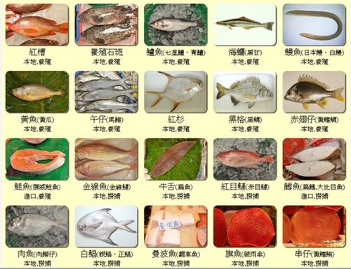 海鲜的种类（海鲜的种类介绍）