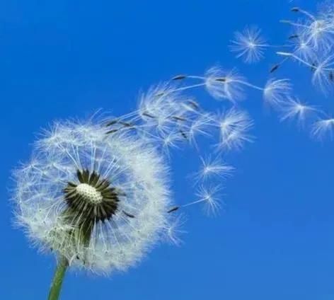 有哪些激励人心的经典句子(有哪些激励人心的经典句子2025)图5