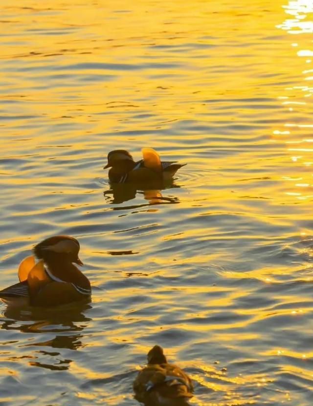 有哪些激励人心的经典句子(有哪些激励人心的经典句子2025)图4