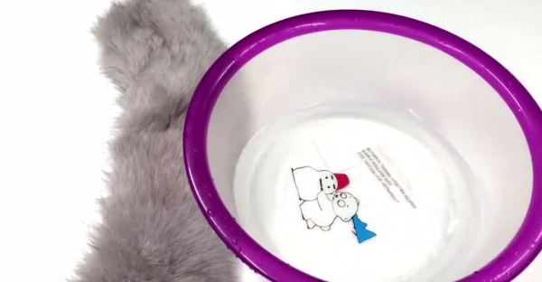 衣服上的毛领如何自己清洗,冬天大衣毛领怎么清洗图4