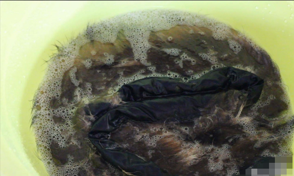 衣服上的毛领如何自己清洗,冬天大衣毛领怎么清洗图14