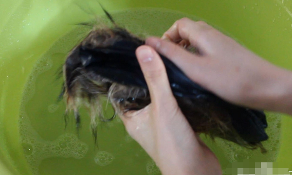 衣服上的毛领如何自己清洗,冬天大衣毛领怎么清洗图15