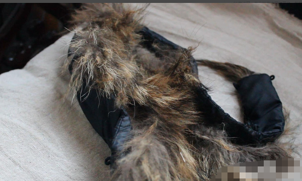 衣服上的毛领如何自己清洗,冬天大衣毛领怎么清洗图17