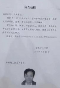 ​广东阳春发生重大刑案，村民称邻居开车冲撞爷孙三人，当地：嫌疑男子已被抓