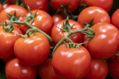 ​西红柿居然能防癌？但千万别吃长黑斑和未成熟的