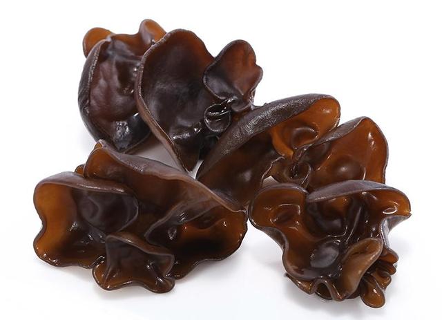 几种常见的野生食用菌（餐桌上的这此食用菌你认识多少种）(6)