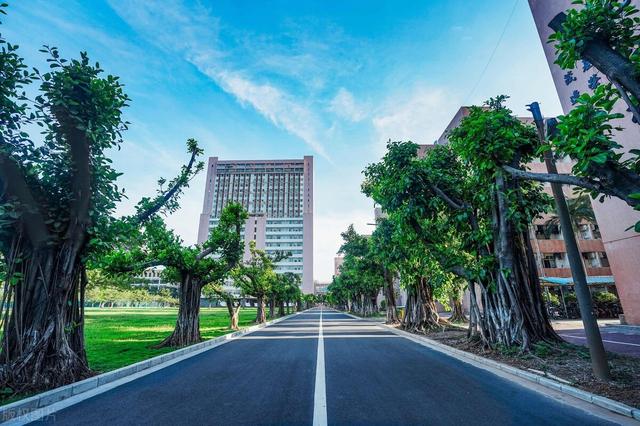 广东江门五邑大学有多少专业（位于侨乡江门的一所公办本科院校）(10)