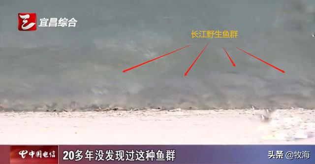 三峡水库蓄水期是多久（三峡水库有多强大）(5)