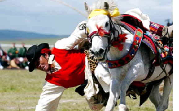 藏族的节日有哪些?,藏族主要节日有哪些图1