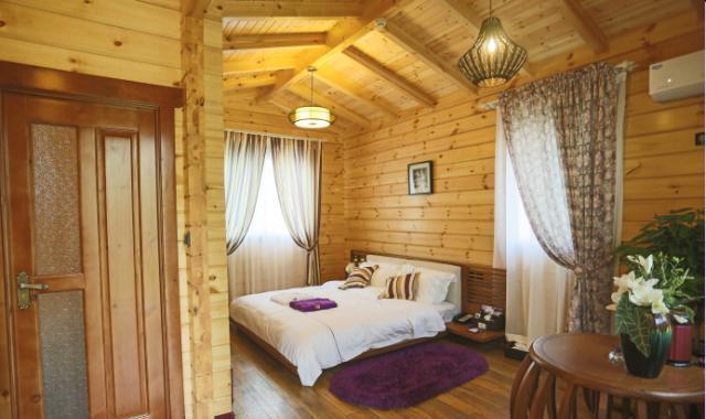 洛阳薰衣草庄园，香草庄园里的浪漫生活