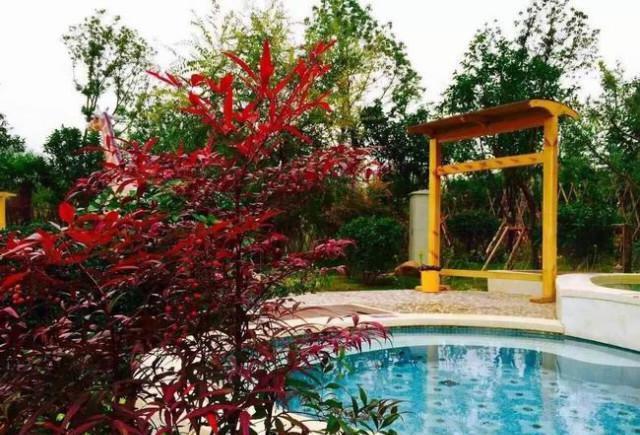 洛阳薰衣草庄园，香草庄园里的浪漫生活