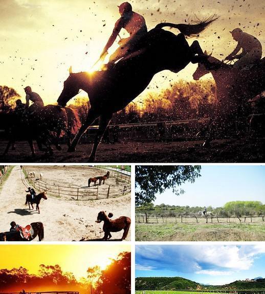 洛阳薰衣草庄园，香草庄园里的浪漫生活