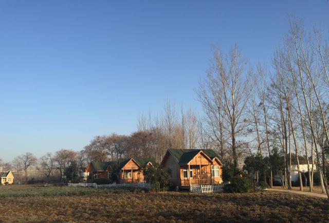 洛阳薰衣草庄园，香草庄园里的浪漫生活