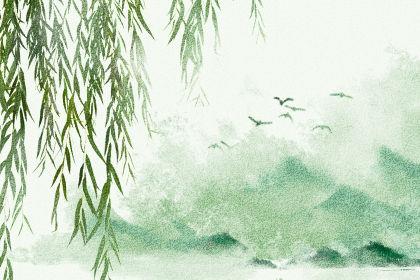 女朋友生气了该怎么在网上哄她