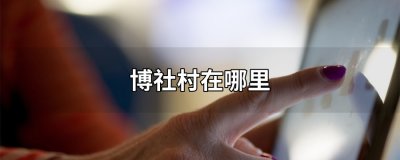 ​博社村在哪里