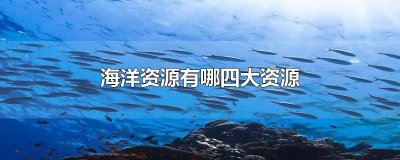 ​海洋资源有哪四大资源
