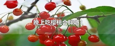 ​晚上吃大樱桃会发胖吗 晚饭吃樱桃会胖么