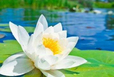 ​要不要去银行开支付宝支付宝怎么开