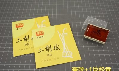 ​二胡有几根琴弦,二胡的琴弦数目是多少