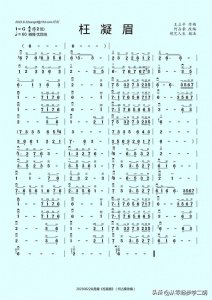 ​《枉凝眉》何占豪改编版本简谱