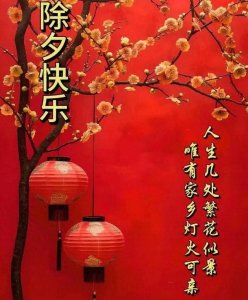 ​话说除夕！！！