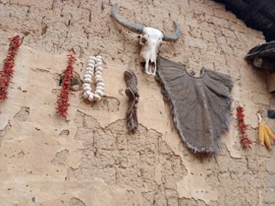 ​二月初九:春天的预兆与农事的智慧