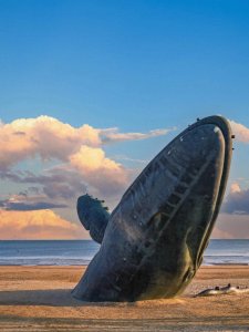 ​烟台旅游必去8大景点，我很少用震撼来形容一座城市！内附攻略~