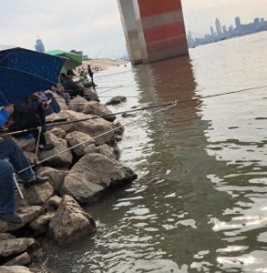 ​武汉钓友关心的问题！周末野钓该去哪？