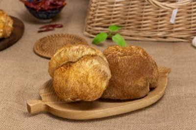 ​干猴头菇泡发七大步骤，轻松去苦味，美味又营养！