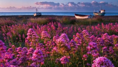 ​脑筋急转弯：一二三四五六七九十，打一字？这个答案让人怀疑智商