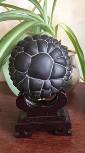 ​奇石界中的奇葩，湖南郴州神奇的龟纹石