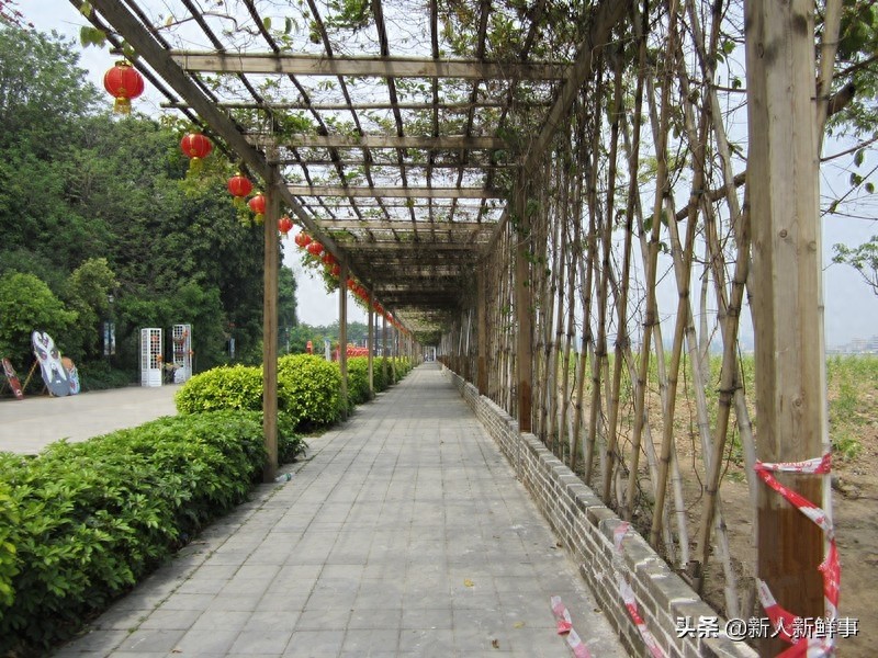 广州番禺岭南印象园