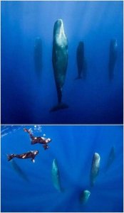 ​19个有趣但又鲜为人知的事，让你感受不一样的世界！