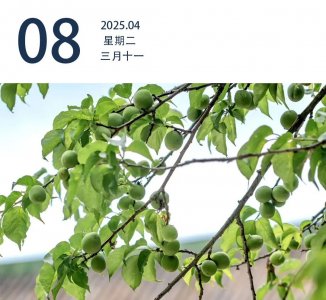 ​广州站至广州南站有望15分钟直达｜早安广东