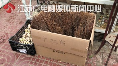“枯木开花”受追捧 干杜鹃成网红 专家：大肆采伐破坏生态