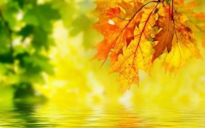 ​「轻松周末」历经21年的经典《Yellow》无论听几遍都还是很好听