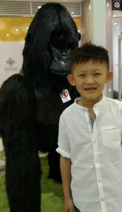 杨志刚拍戏被炸毁容，妻子依旧不离不弃的照顾他