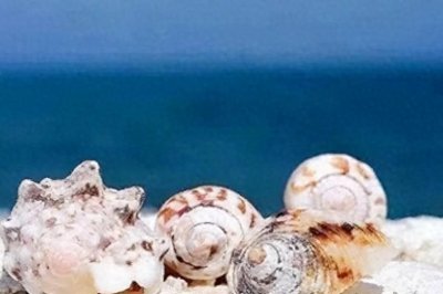 ​曾经被越南抢去的渚碧岛，现已成为中国在南海的一个重要基地