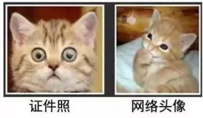 ​身份证照能在家拍了？咋拍好看