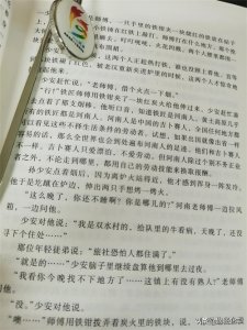 ​中国的吉普赛人——河南人，勤奋热情，憨厚朴实