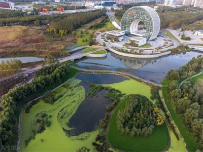 ​中国五大汽车城都在哪？长春、广州等地上榜！有你家乡吗？